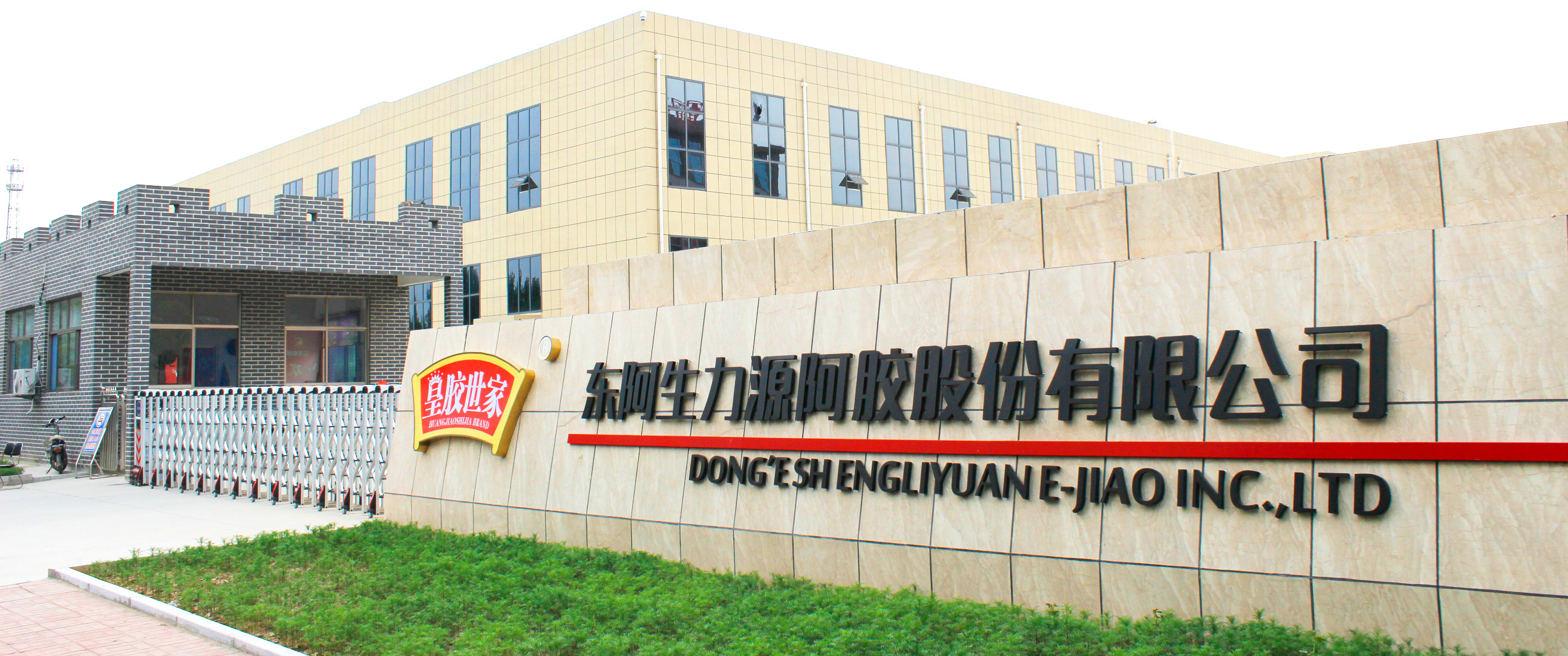 东阿生力源阿胶股份有限公司