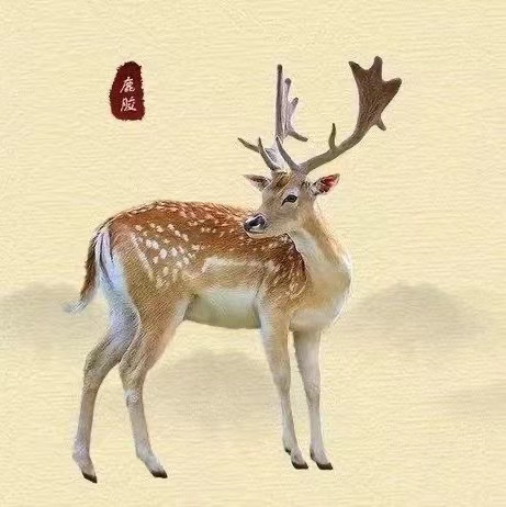 皇胶世家